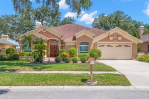 895 Whippoorwill Dr, PALM HARBOR 895 Whippoorwill Dr, PALM HARBOR