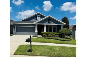 12005 RAMBLING STREAM DRIVE, RIVERVIEW, FL 33569 - MLS#MFRTB8519131
