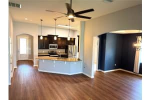 12005 RAMBLING STREAM DRIVE, RIVERVIEW, FL 33569 - MLS#MFRTB8519131
