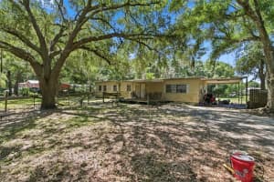 17214 CHINABERRY ROAD, LUTZ, FL 33558 - MLS#MFRTB8519156