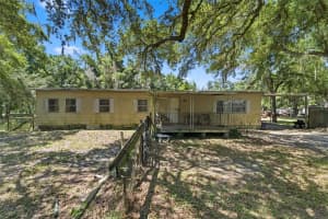 17214 CHINABERRY ROAD, LUTZ, FL 33558 - MLS#MFRTB8519156