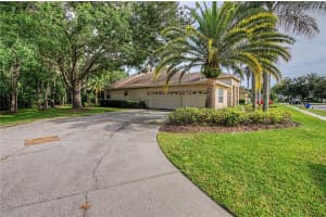 18615 CHEMILLE DRIVE, LUTZ, FL 33558 - MLS#MFRTB8519169