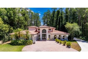 17309 Linda Vista Cir, LUTZ 17309 Linda Vista Cir, LUTZ