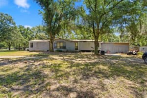 1136 WILDWOOD LANE, LUTZ, FL 33558 - MLS#MFRTB8519214