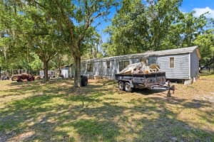 1136 WILDWOOD LANE, LUTZ, FL 33558 - MLS#MFRTB8519214