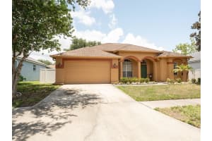 10501 ASHLEY OAKS DRIVE, RIVERVIEW, FL 33578 - MLS#MFRTB8519229