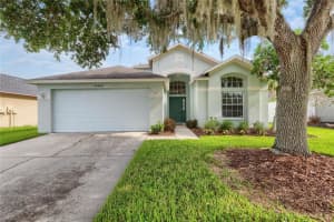 30446 Tremont Dr, WESLEY CHAPEL
