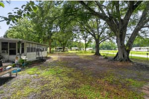 26322 BRAHMA DRIVE, WESLEY CHAPEL, FL 33544 - MLS#MFRTB8519357