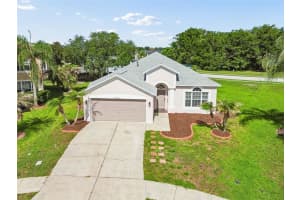 27211 Liriope Ct, WESLEY CHAPEL 27211 Liriope Ct, WESLEY CHAPEL