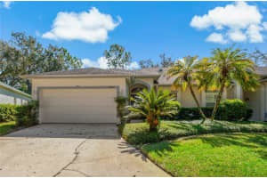 19029 Callaway Ct, TAMPA 19029 Callaway Ct, TAMPA