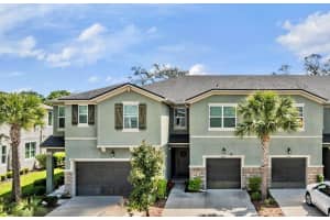 14229 DAMSELFLY DRIVE, TAMPA, FL 33625 - MLS#MFRTB8519526