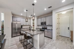 14229 DAMSELFLY DRIVE, TAMPA, FL 33625 - MLS#MFRTB8519526