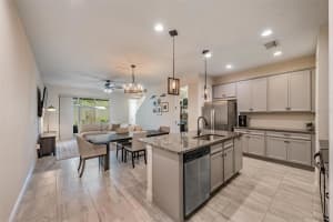 14229 DAMSELFLY DRIVE, TAMPA, FL 33625 - MLS#MFRTB8519526