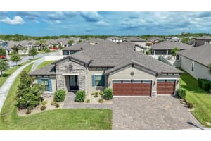 8687 Birchleaf Court Ct, LAND O LAKES