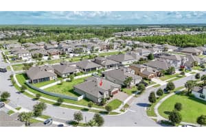 8687 BIRCHLEAF COURT COURT, LAND O LAKES, FL 34637 - MLS#MFRTB8519580