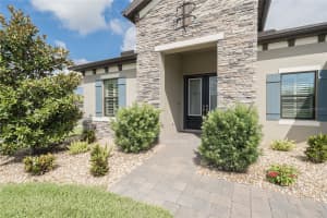 8687 BIRCHLEAF COURT COURT, LAND O LAKES, FL 34637 - MLS#MFRTB8519580