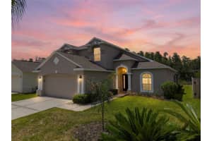 30609 Tremont Dr, WESLEY CHAPEL 30609 Tremont Dr, WESLEY CHAPEL