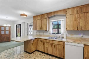 4923 17TH STREET, ZEPHYRHILLS, FL 33542 - MLS#MFRTB8519826