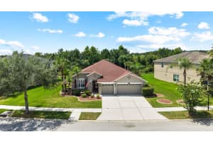 10839 BREAKING ROCKS DRIVE, TAMPA, FL 33647 - MLS#MFRTB8519830