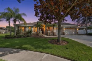 16508 AMBERWIND LANE, LUTZ, FL 33558 - MLS#MFRTB8519837
