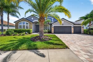 16339 IVY LAKE DRIVE, ODESSA, FL 33556 - MLS#MFRTB8519863