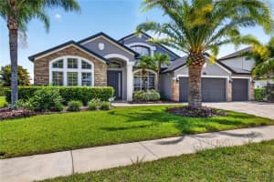 16339 IVY LAKE DRIVE, ODESSA, FL 33556 - MLS#MFRTB8519863