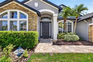 16339 IVY LAKE DRIVE, ODESSA, FL 33556 - MLS#MFRTB8519863