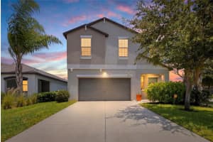 10232 COOL WATERLILY AVENUE, RIVERVIEW, FL 33578 - MLS#MFRTB8519958
