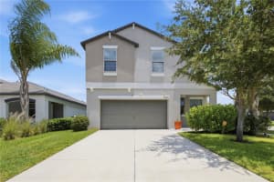 10232 COOL WATERLILY AVENUE, RIVERVIEW, FL 33578 - MLS#MFRTB8519958