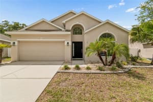 12155 Infinity Dr, NEW PORT RICHEY