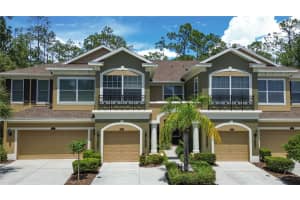 12658 Silverdale St, TAMPA 12658 Silverdale St, TAMPA