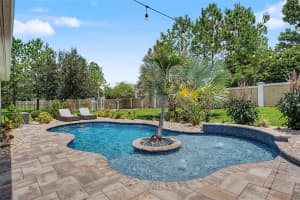 11882 FROST ASTER DRIVE, RIVERVIEW, FL 33579 - MLS#MFRTB8520319