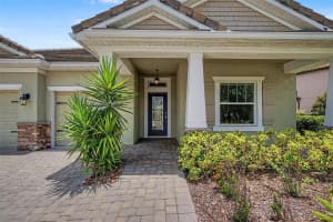 11882 FROST ASTER DRIVE, RIVERVIEW, FL 33579 - MLS#MFRTB8520319