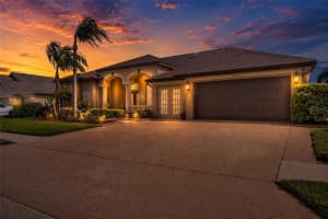 22523 WILLOW LAKES DRIVE, LUTZ, FL 33549 - MLS#MFRTB8520371