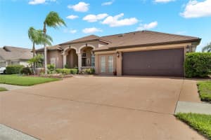 22523 WILLOW LAKES DRIVE, LUTZ, FL 33549 - MLS#MFRTB8520371
