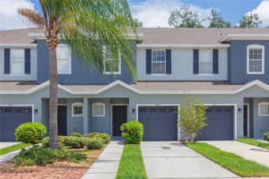 4473 Amberly Oaks Ct, TAMPA