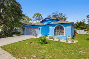 10201 ALLENWOOD DRIVE, RIVERVIEW, FL 33569 - MLS#MFRTB8520439