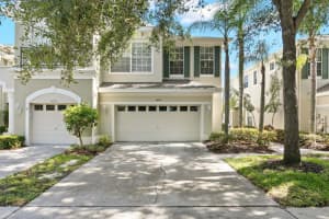 , TAMPA , TAMPA