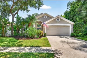 12321 Glenfield Ave, TAMPA