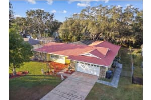1514 BURNING TREE LANE, BRANDON, FL 33510 - MLS#MFRTB8520564