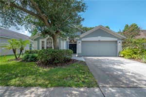 11820 Easthampton Dr, TAMPA 11820 Easthampton Dr, TAMPA
