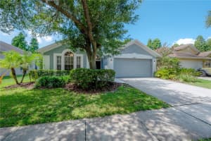 11820 EASTHAMPTON DRIVE, TAMPA, FL 33626 - MLS#MFRTB8520603
