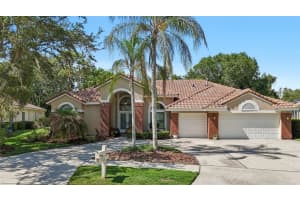 17722 Grey Eagle Rd, TAMPA