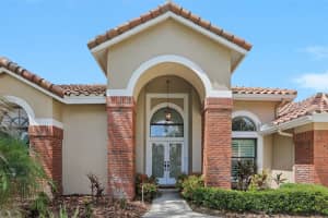 17722 GREY EAGLE ROAD, TAMPA, FL 33647 - MLS#MFRTB8520701