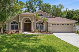 8102 KENDELWICK COURT, TAMPA, FL 33647 - MLS#MFRTB8520725