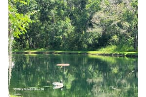 12742 WOOD TRAIL BLVD BOULEVARD, TAMPA, FL 33625 - MLS#MFRTB8520760