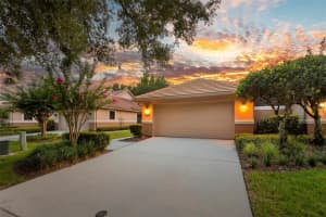 17716 Oak Bridge St, TAMPA 17716 Oak Bridge St, TAMPA