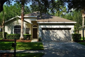 19131 Cypress Reach Ln, TAMPA 19131 Cypress Reach Ln, TAMPA
