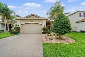 30867 Lindentree Dr, WESLEY CHAPEL