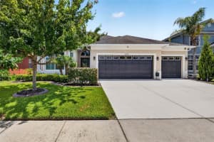 31218 Alchester, WESLEY CHAPEL 31218 Alchester, WESLEY CHAPEL